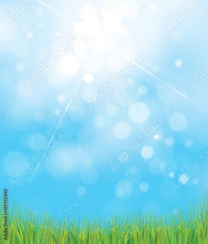 Vector  nature  background  green grass   blue  sunny  sky  bokeh background.