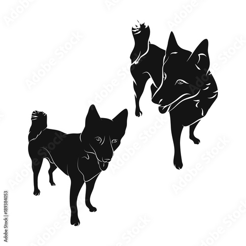 the silhouette of the dog Laika