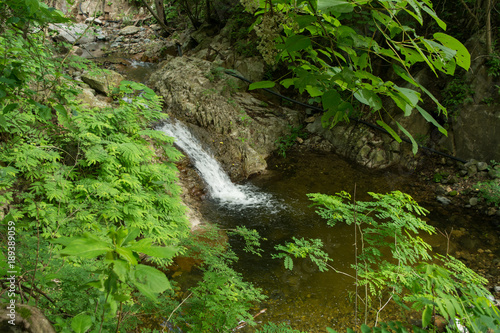 waterfall