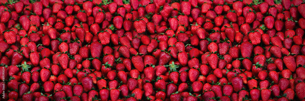 Fresh strawberries background. Copy space. Harvest. Food frame and banner Fresh strawberries background. Copy space. Harvest. Food frame and banner