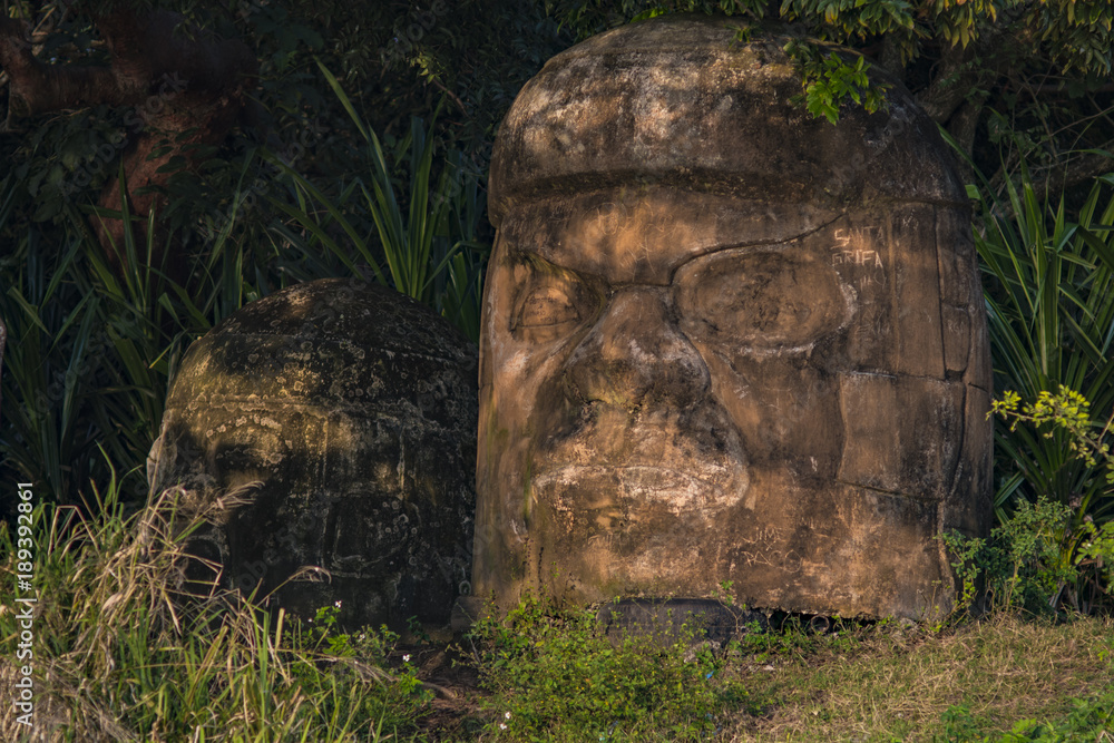 Obraz premium pre-hispanic olmec head