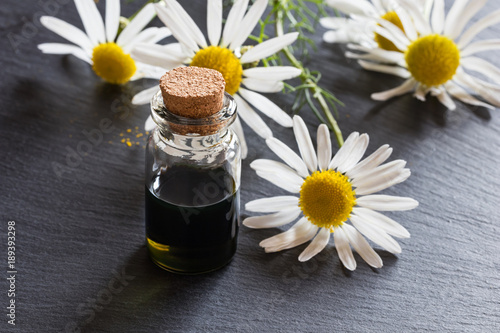 A bottle of chamomile essential oil with chamomile flowers in the background
