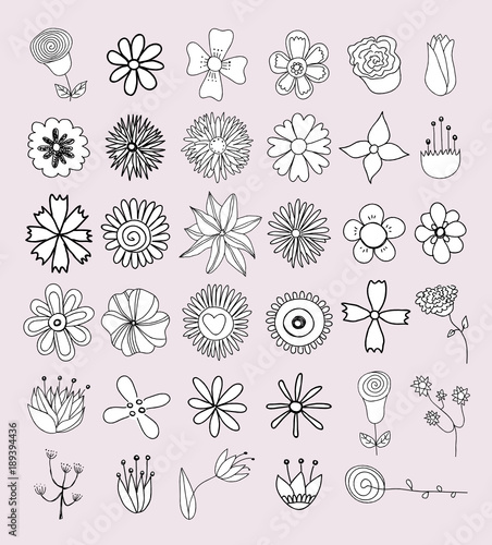 Wallpaper Mural Set of flower doodles Torontodigital.ca