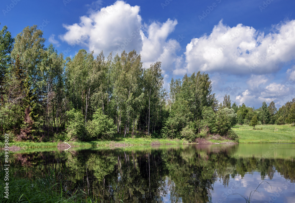 summer landscape. The picturesque coast of the lake with grass and trees under a blue cloudy sky summer landscape. The picturesque coast of the lake with grass and trees under a blue cloudy sky