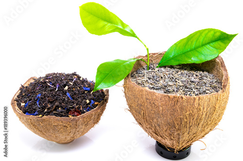 Dry black and green tea leaves on coconut rind isolated on white background