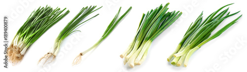 Collage with green onion on white background
