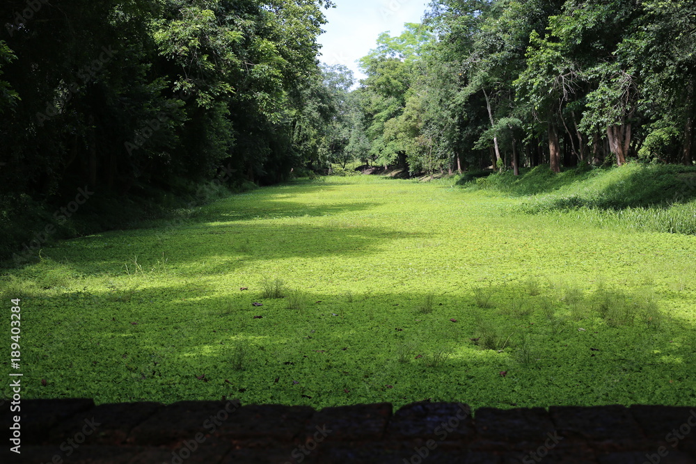 Obraz premium george_b