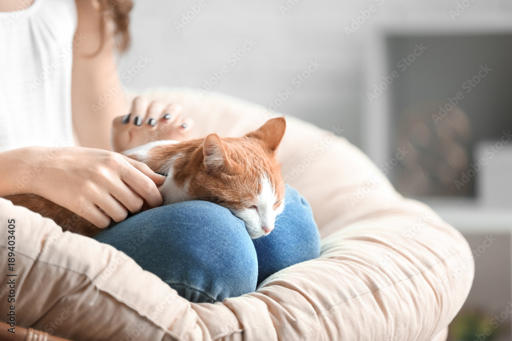 Young woman with cute cat in armchair at home Young woman with cute cat in armchair at home