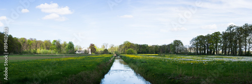 Spring landscape with ditch and grassland with flowers