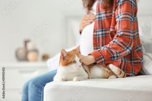 Fototapeta Naklejka Na Ścianę i Meble -  Young pregnant woman with cute cat at home