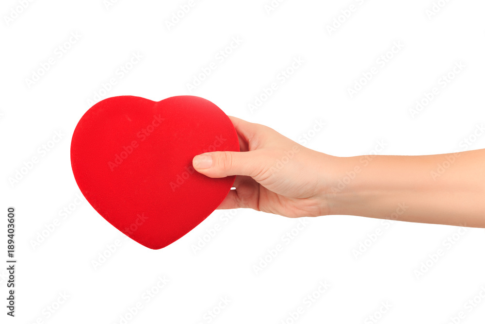 female hand holding a bright red heart