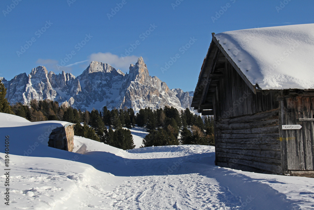 le baite di Canvere con il Cimon de la Pala e la Vezzana; Val di Fiemme, Dolomiti