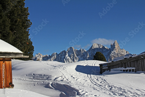 le baite di Canvere con il Cimon de la Pala e la Vezzana  Val di Fiemme, Dolomiti © gabriffaldi