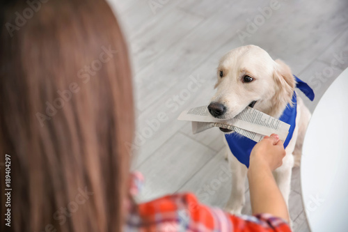 Service dog giving newspape...