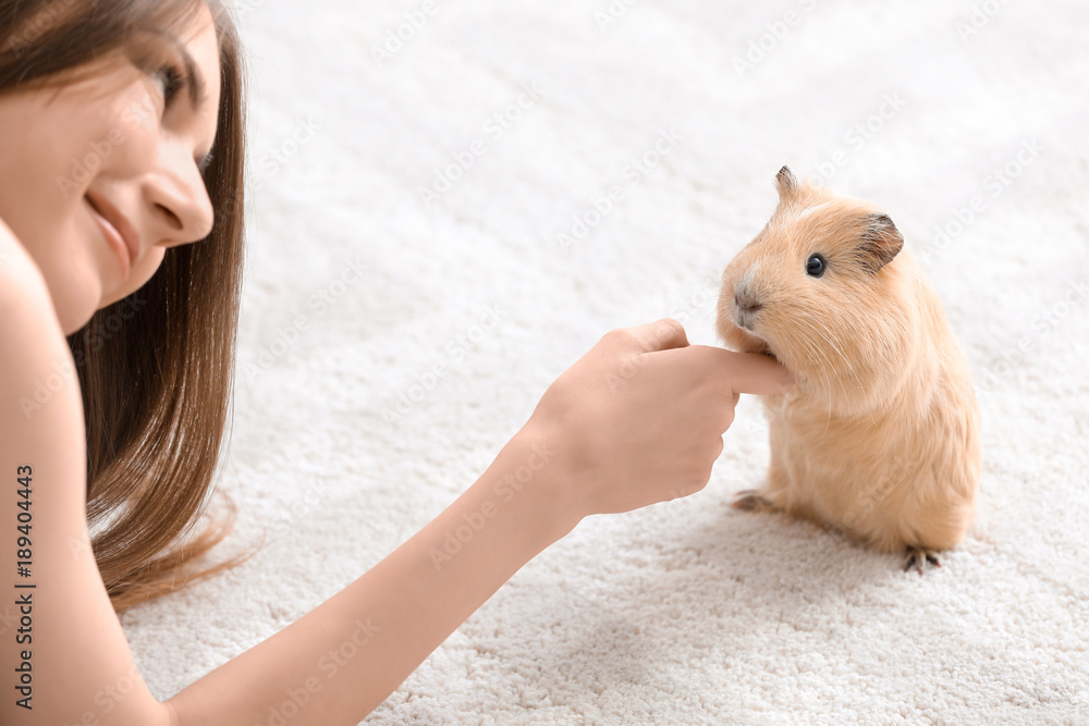 Beautiful young woman with pet guinea pig at home Beautiful young woman with pet guinea pig at home