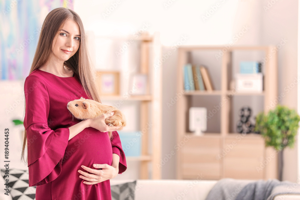 Young pregnant woman with pet guinea pig at home Young pregnant woman with pet guinea pig at home