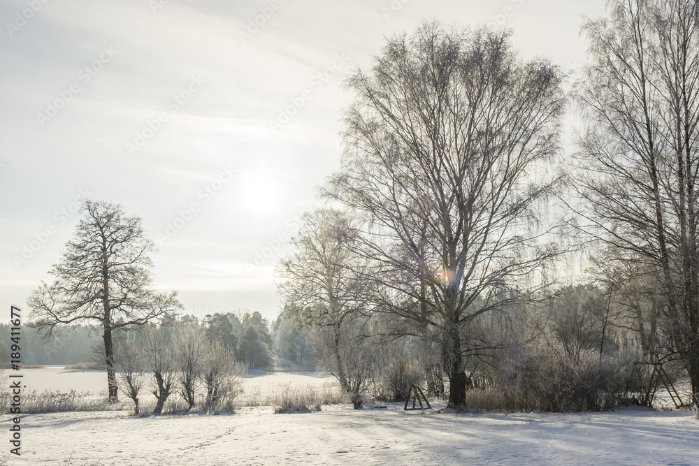 Natur med frostiga träd och buskar ute på Värmdö en vacker vinter dag Natur med frostiga träd och buskar ute på Värmdö en vacker vinter dag