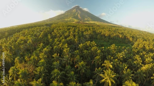 Mayon Volcano near Legazpi city in Philippines. Aerial view over the palm jungle and plantation at sunset. Mayon Volcano is an active volcano and 2462 meters high. photo