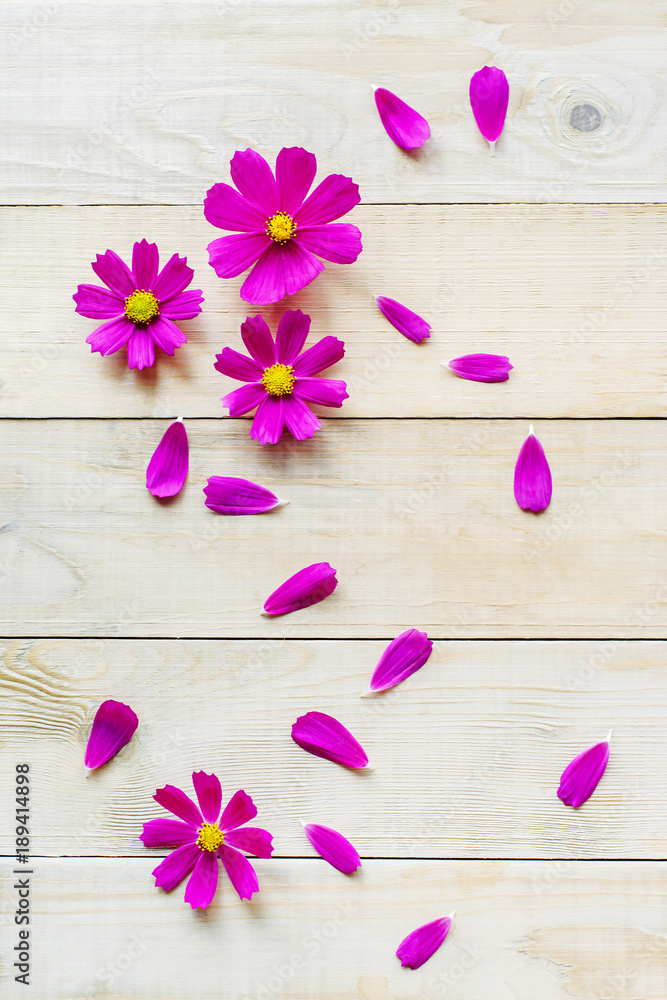 top view of open cosmos plant flowers lay on wooden table top view of open cosmos plant flowers lay on wooden table