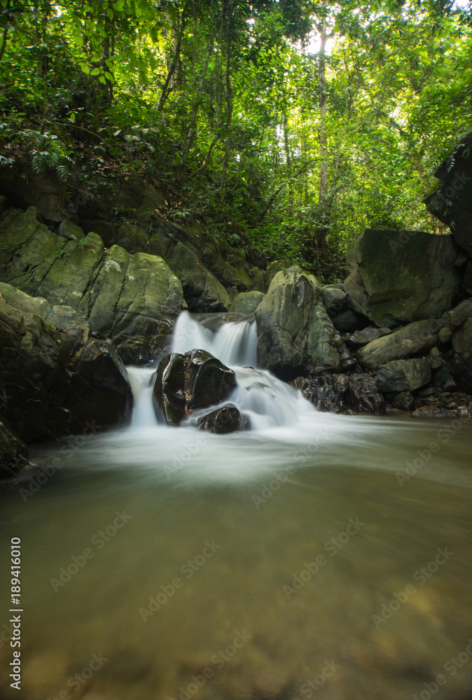 Fototapeta premium beautiful view of river and jungle of Borneo