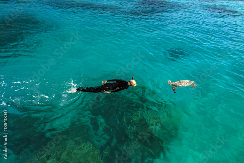 snorkler turtle collision hawaii