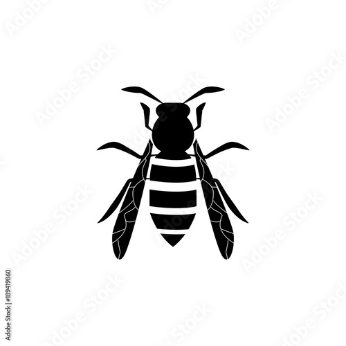 wasp icon. Elements of world of insects icon for concept and web apps. Illustration  icon for website design and development, app development. Premium icon