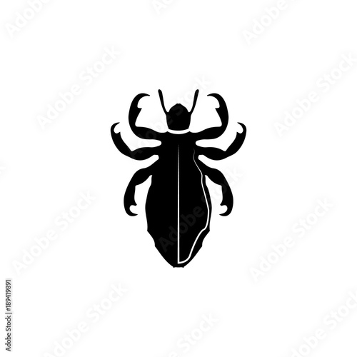 lice icon. Elements of world of insects icon for concept and web apps. Illustration  icon for website design and development, app development. Premium icon