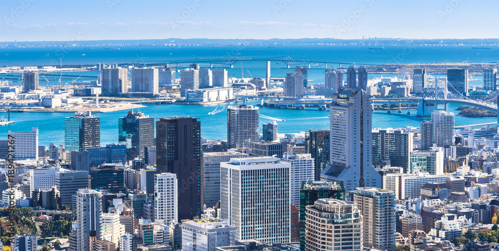 Fototapeta premium 東京ベイエリア