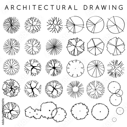 Set of Architectural Hand Drawn Trees : Vector Illustration