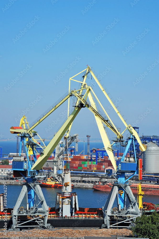 Bulk cargo ship under port crane