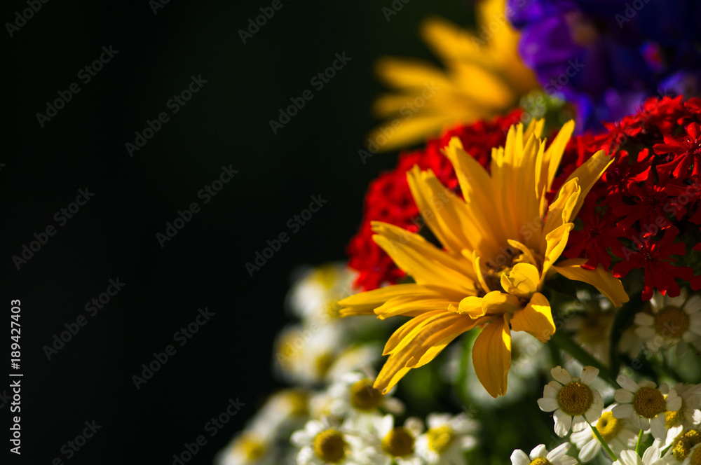 a bouquet of bright spring flowers of various types a bouquet of bright spring flowers of various types