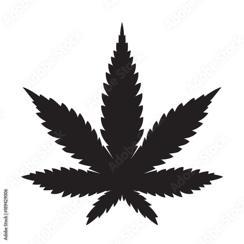 Weed Marijuana cannabis leaf vector icon logo illustration photo