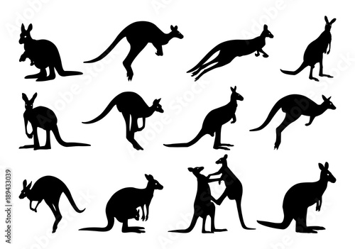 collection of kangaroo silhouette. kangaroo silhouette photo
