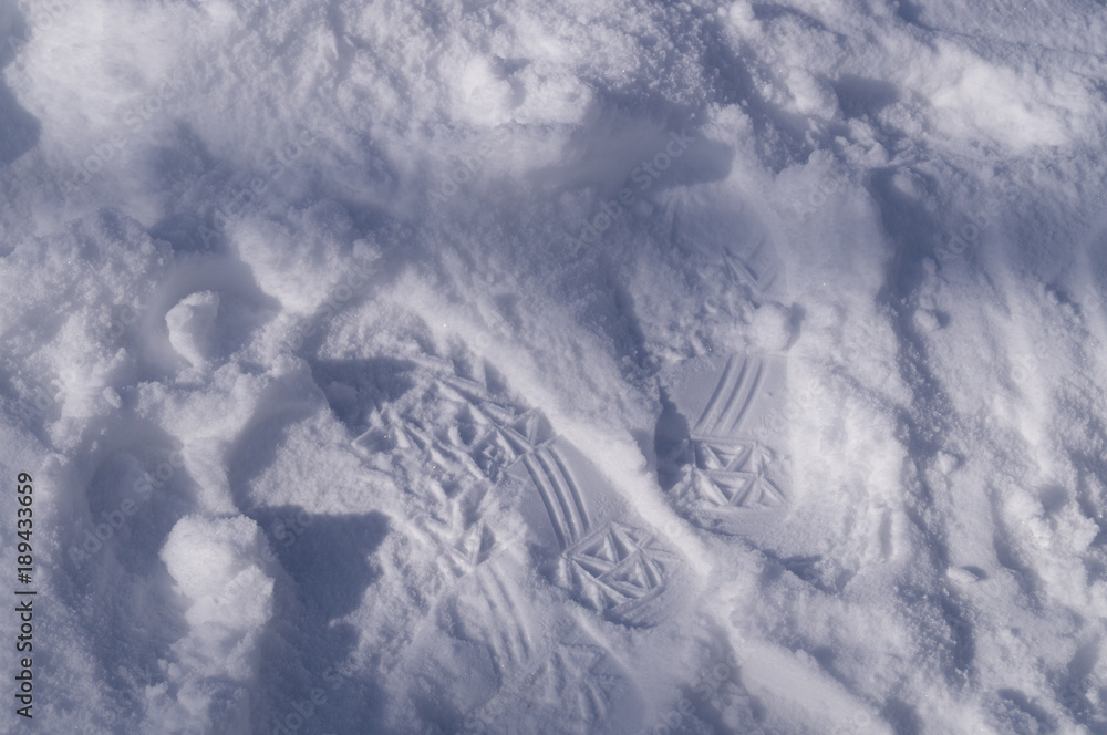 Fototapeta premium 雪の足跡