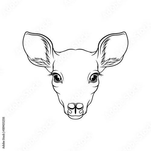 Sketch of roe deers head, portrait of forest animal black and white hand drawn vector Illustration