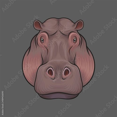Head of hippopotamus, portrait of wild animal hand drawn vector Illustration
