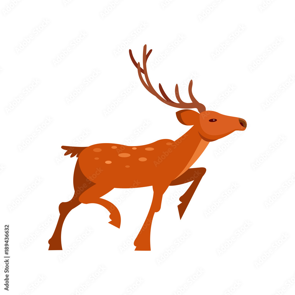 Brown spotted deer with antlers, wild animal cartoon vector Illustration Brown spotted deer with antlers, wild animal cartoon vector Illustration