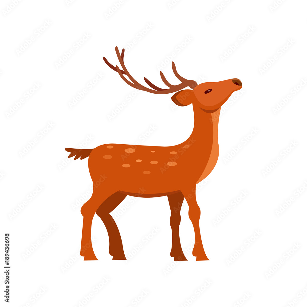 Graceful brown spotted deer with antlers, wild animal cartoon vector Illustration Graceful brown spotted deer with antlers, wild animal cartoon vector Illustration