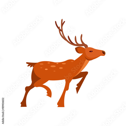Brown spotted deer with antlers  wild animal cartoon vector Illustration