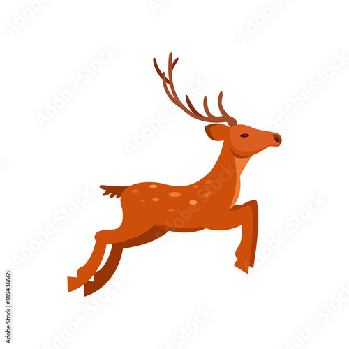 Brown graceful spotted deer with antlers  wild animal cartoon vector Illustration