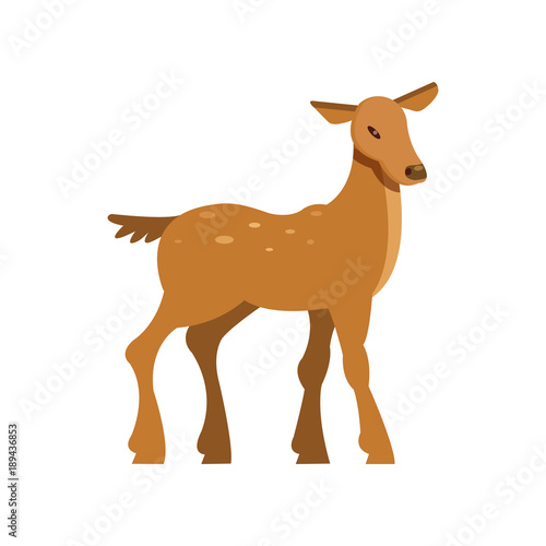 Graceful spotted fallow roe deer  wild animal cartoon vector Illustration