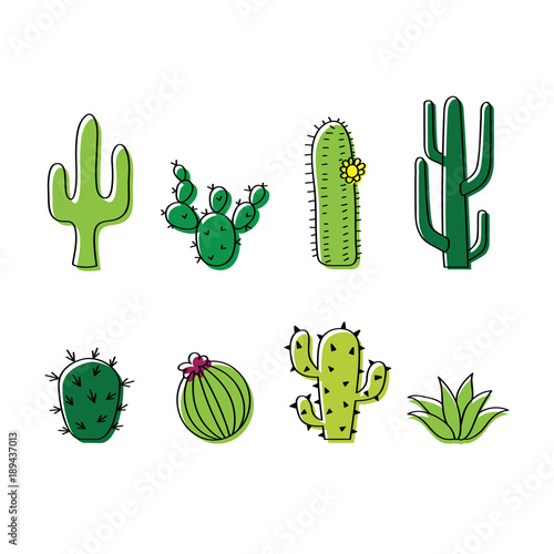 Set of vector cacti, cactus doodle illustration. Cartoon style, desert plants. Western and Mexican theme.