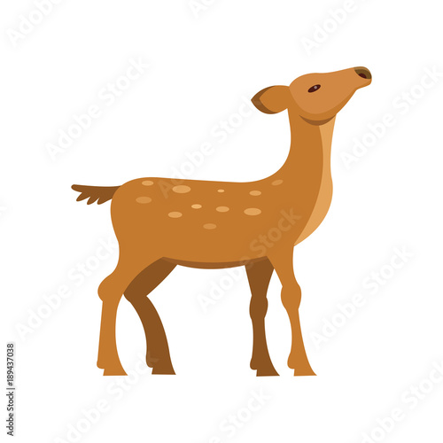 Graceful fallow sika roe deer, wild animal cartoon vector Illustration
