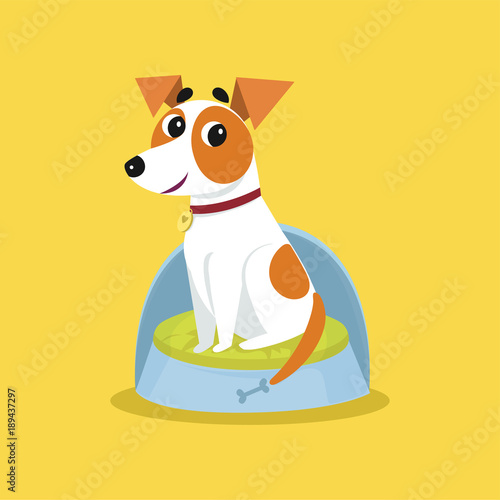 Cute jack russell terrier sitting on dogs bed, funny pet animal character cartoon vector Illustration