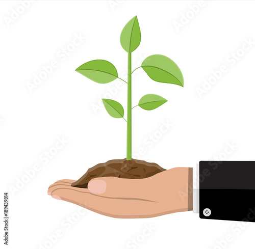 Tree with leaves and soil in hand.