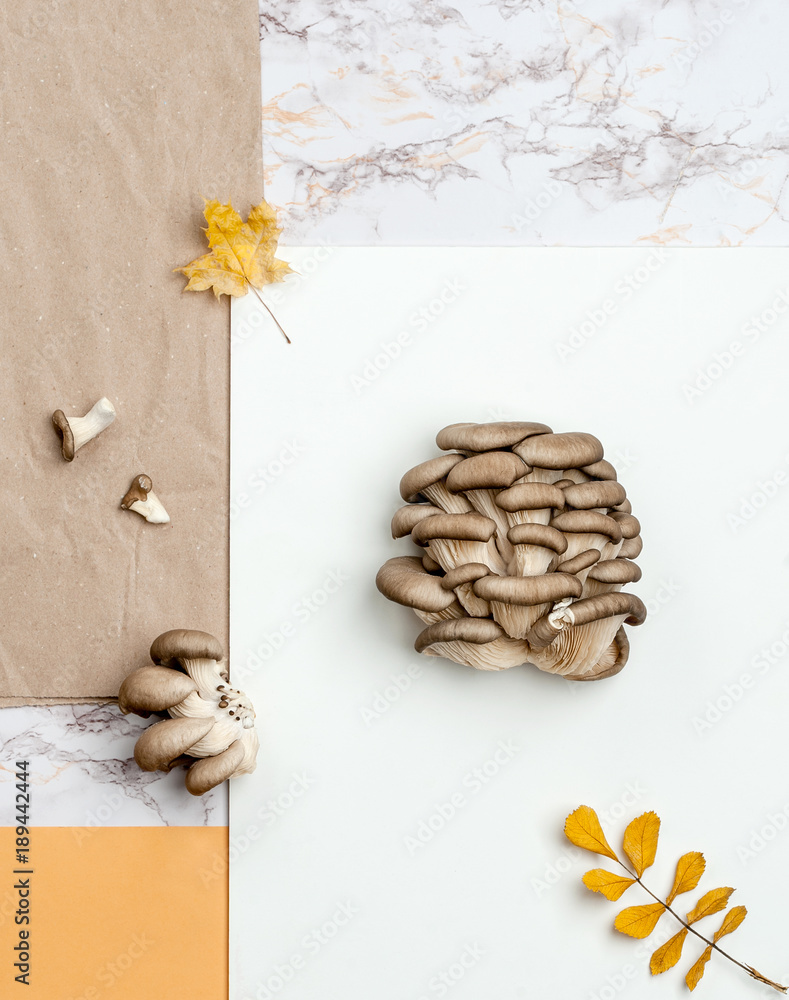 Oyster mushrooms on a combed background of kraft paper, marble and orange table..