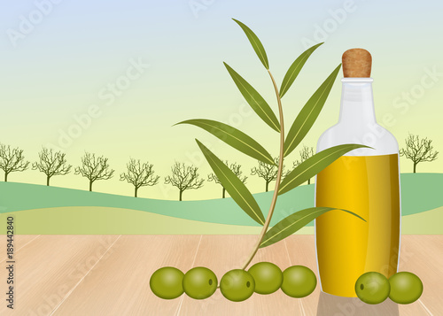 illustration of bottle of olive oil