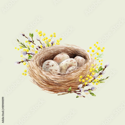 Watercolor bird nest with eggs