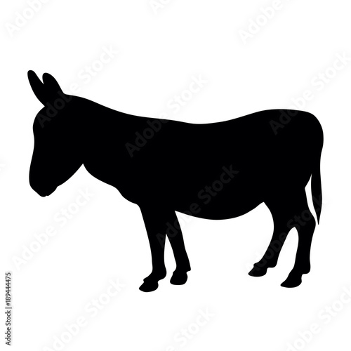 black silhouette of donkey standing on white background of vector illustration