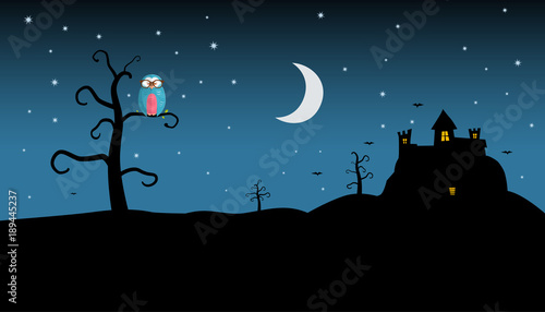 Night Landscape with Spooky Castle  and Owl on Tree Silhouette